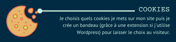 Cookies : je choisis quels cookies je mets sur mon site puis je crée un bandeau pour laisser le choix au visiteur